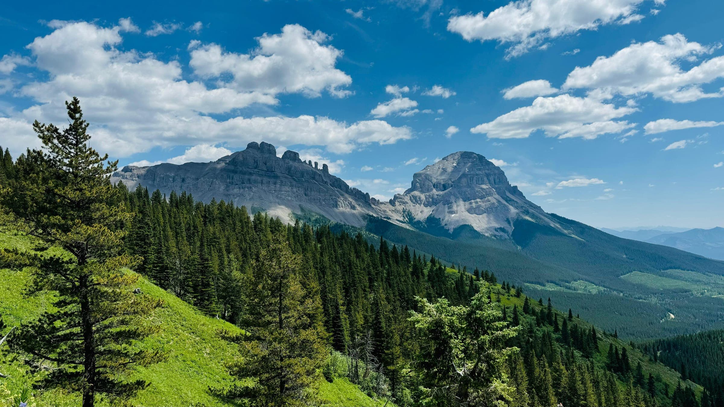 High Rock Trail on the Divide 200 course in the Canadian Rockies